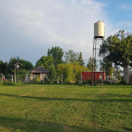 Terrabox Apart De Contenedores Olivera Bilik gambar