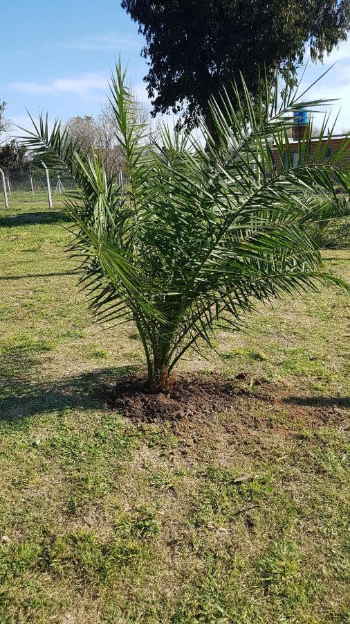 Terrabox Apart De Contenedores Olivera Luaran gambar