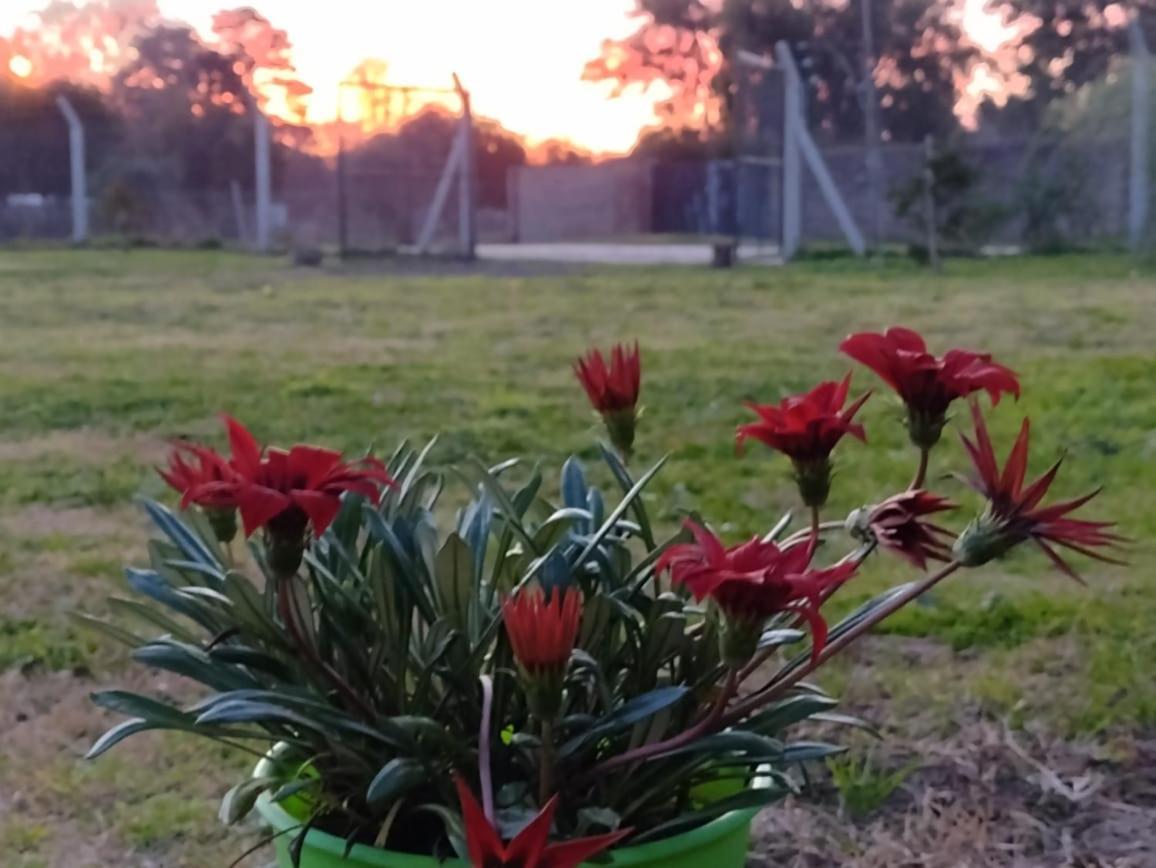 Terrabox Apart De Contenedores Olivera Luaran gambar