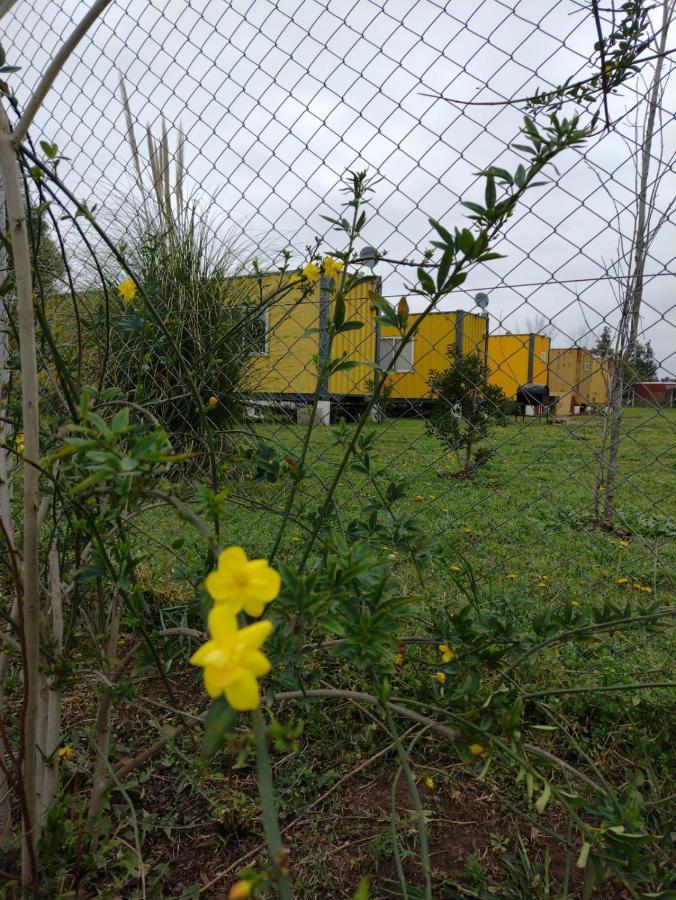 Terrabox Apart De Contenedores Olivera Luaran gambar